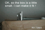 fedex01.jpg